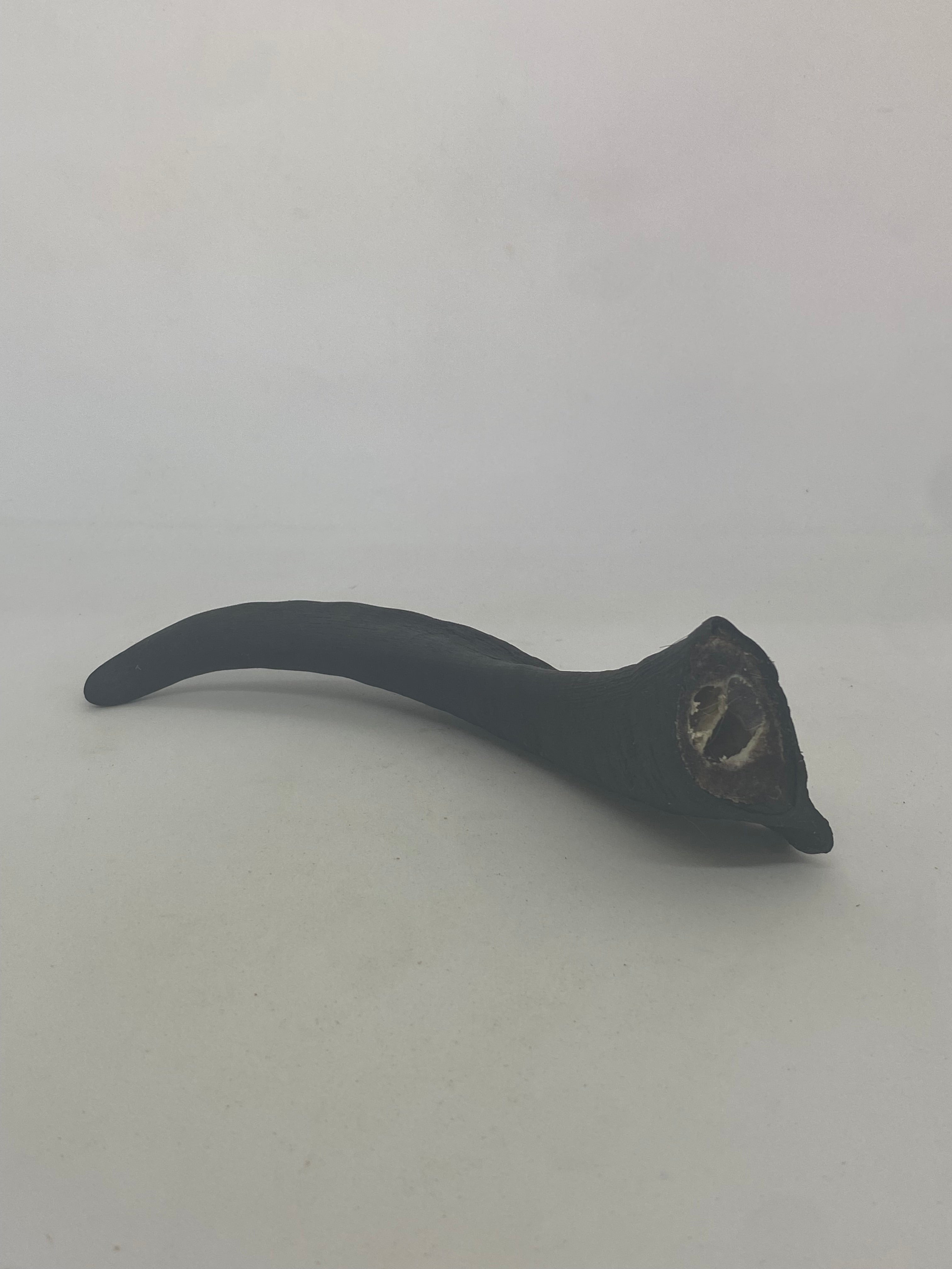Goat Horn