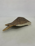 Deer Antler