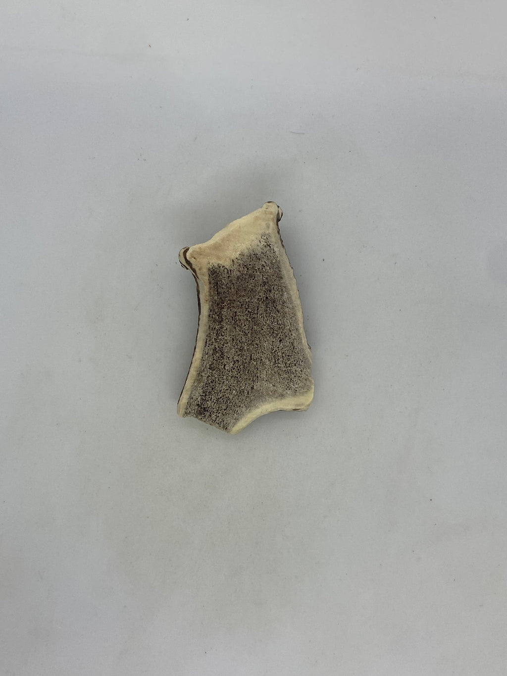 Deer Antler
