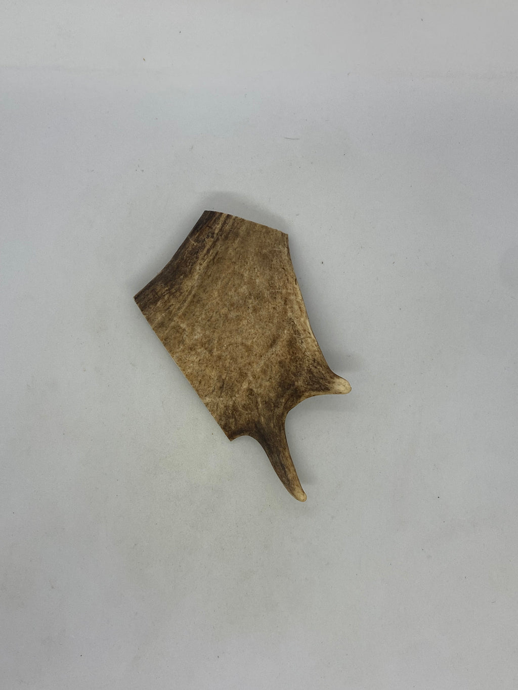 Deer Antler