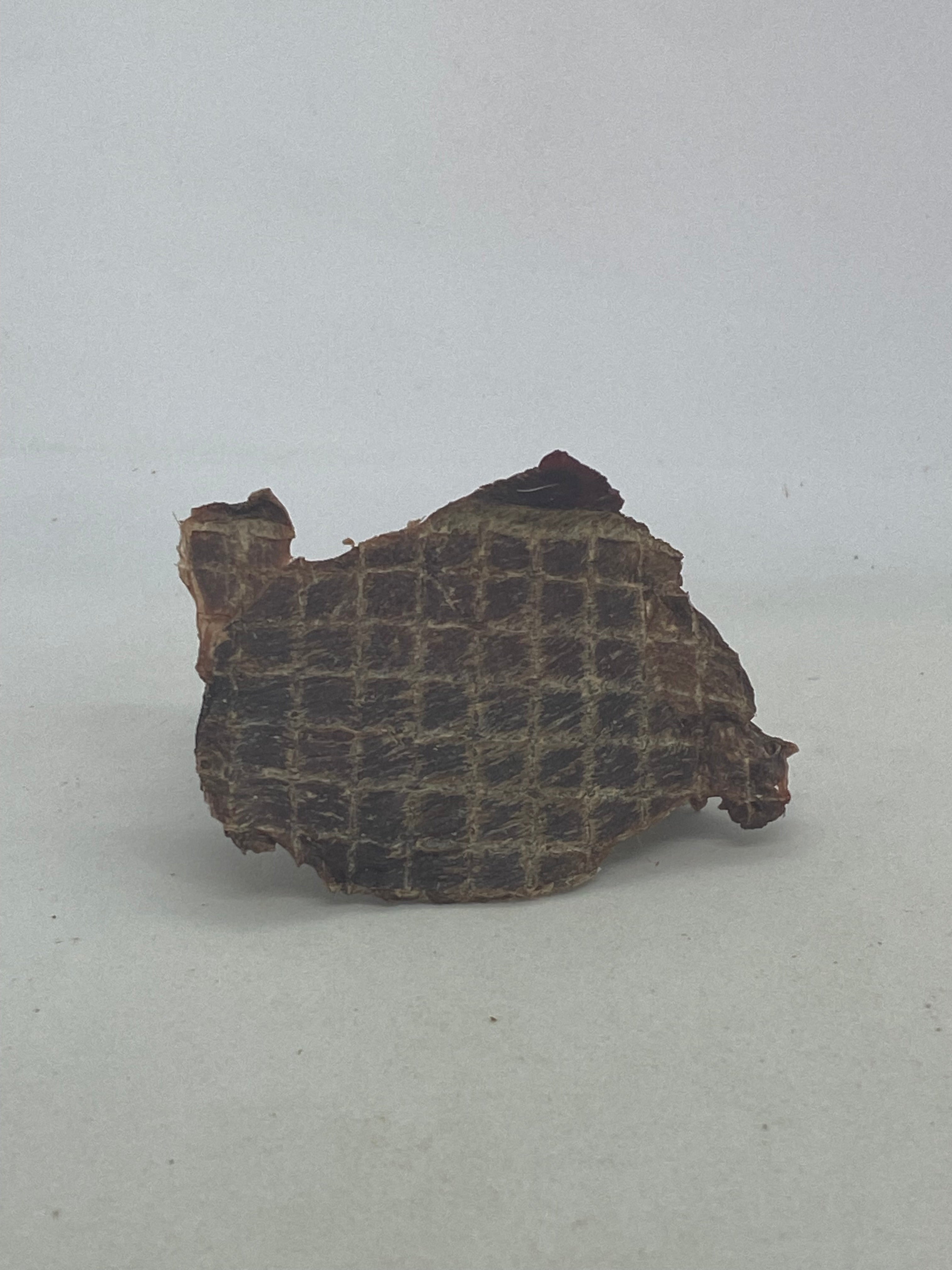 Venison Jerky