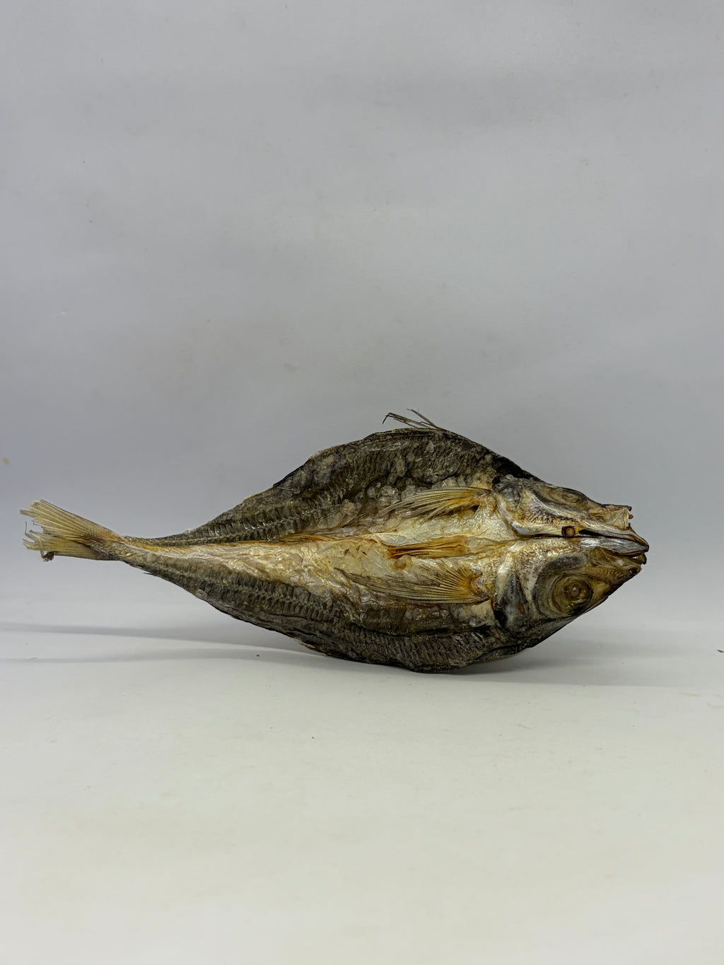 Yellow Tail