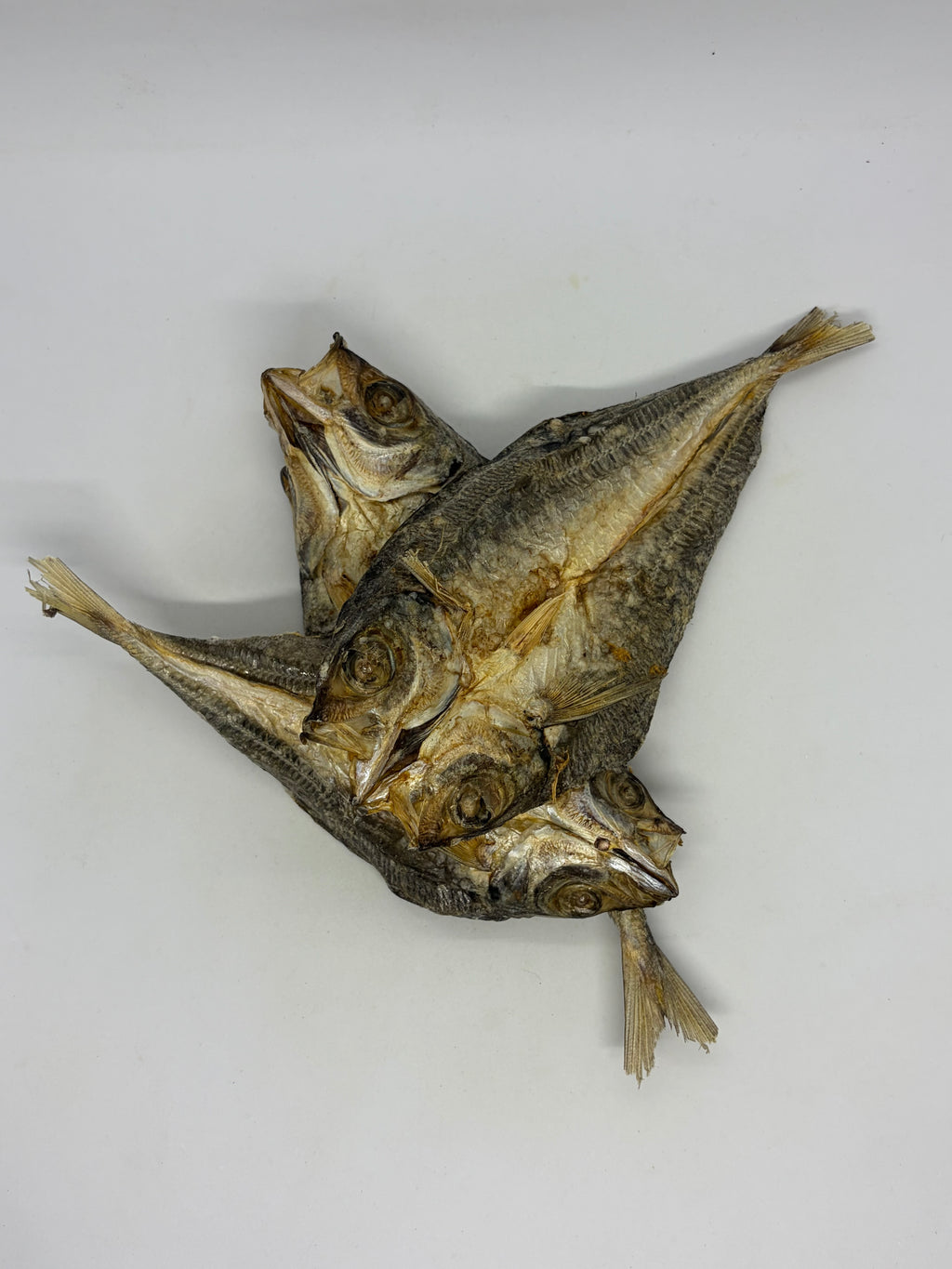 Yellow Tail