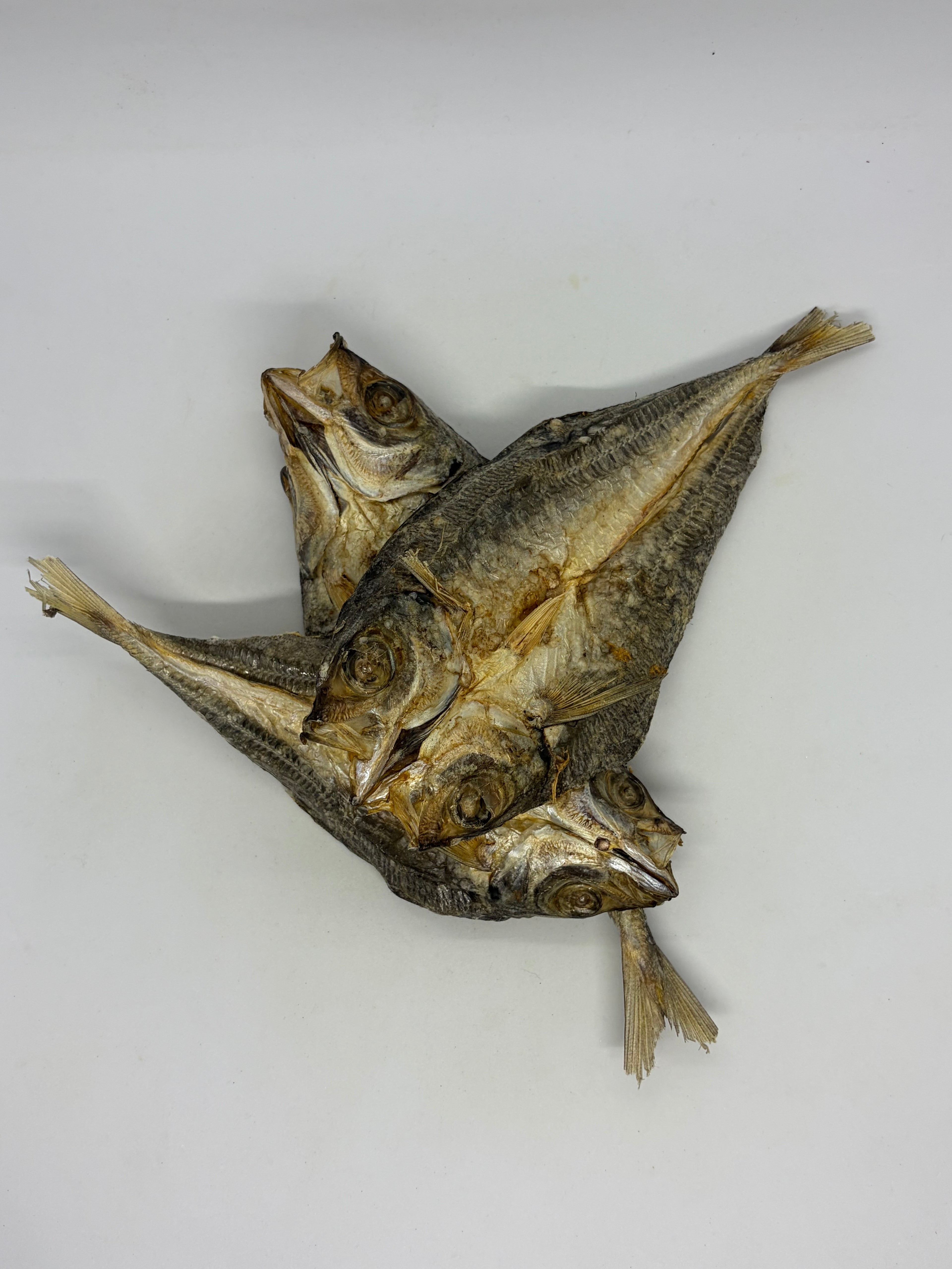 Yellow Tail