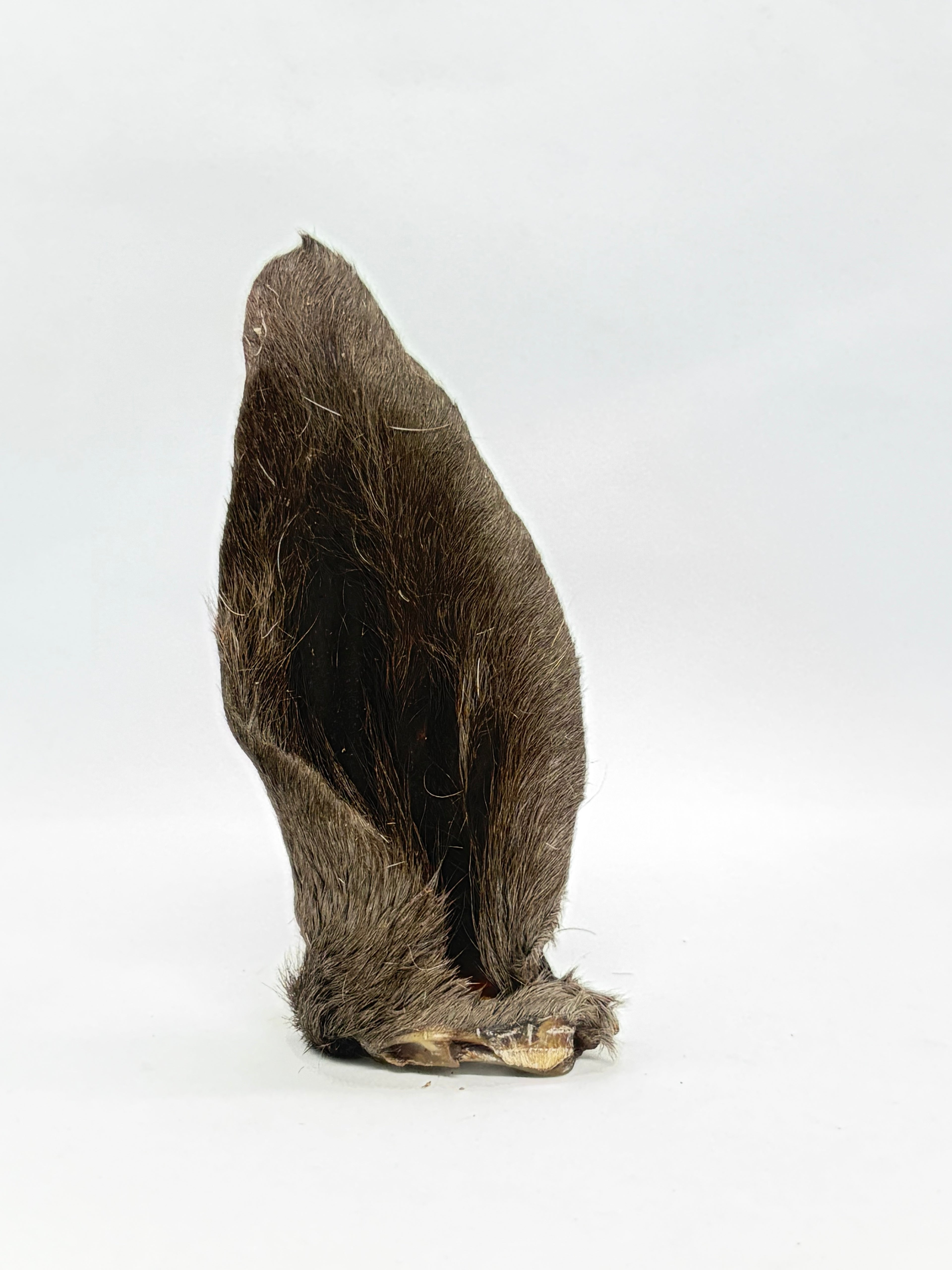 Fury Goat Ears