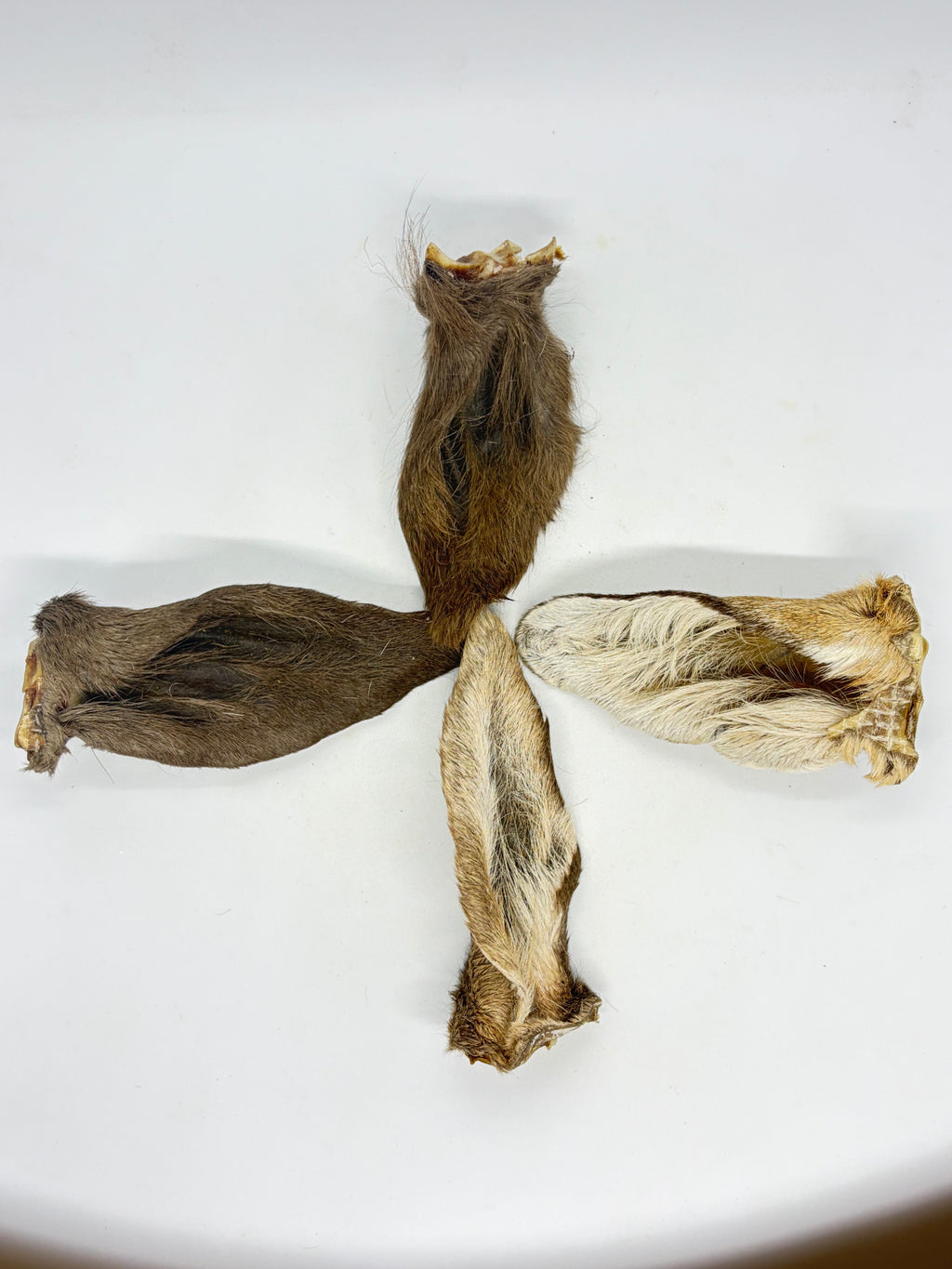 Fury Goat Ears
