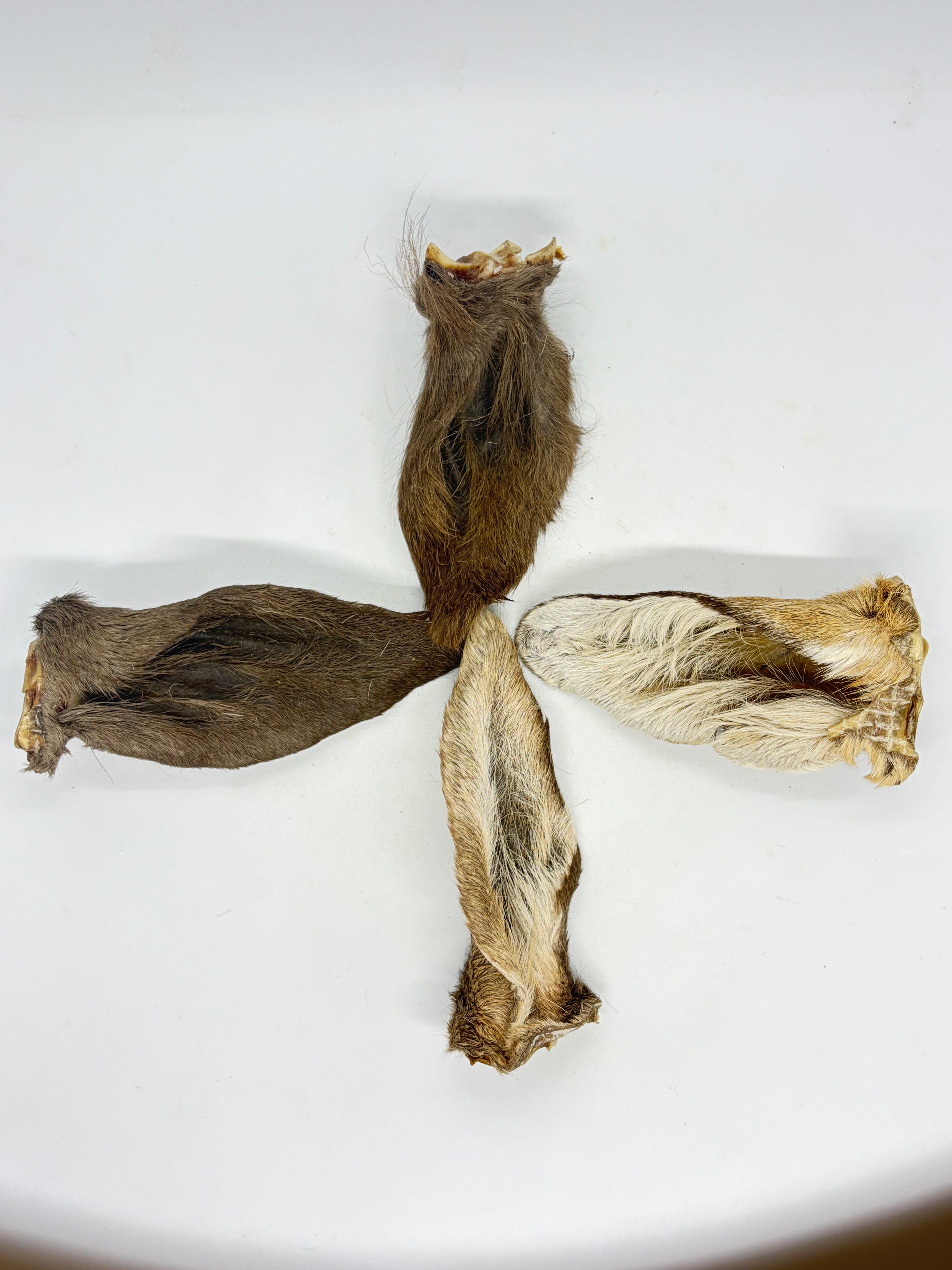 Fury Goat Ears