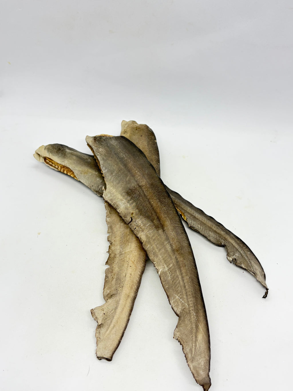 Shark Tails