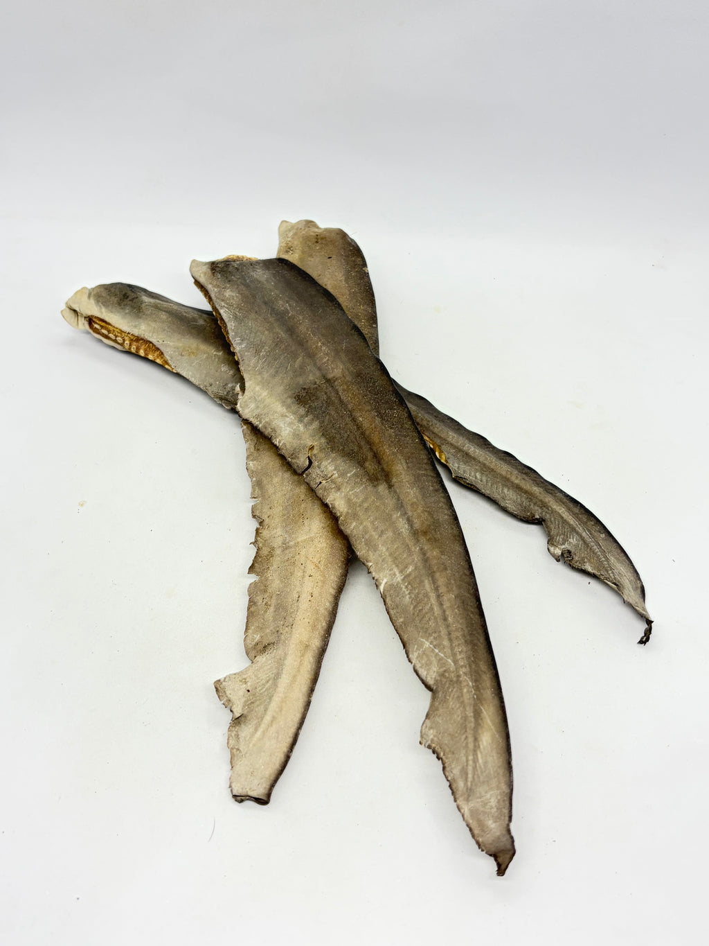 Shark Tails