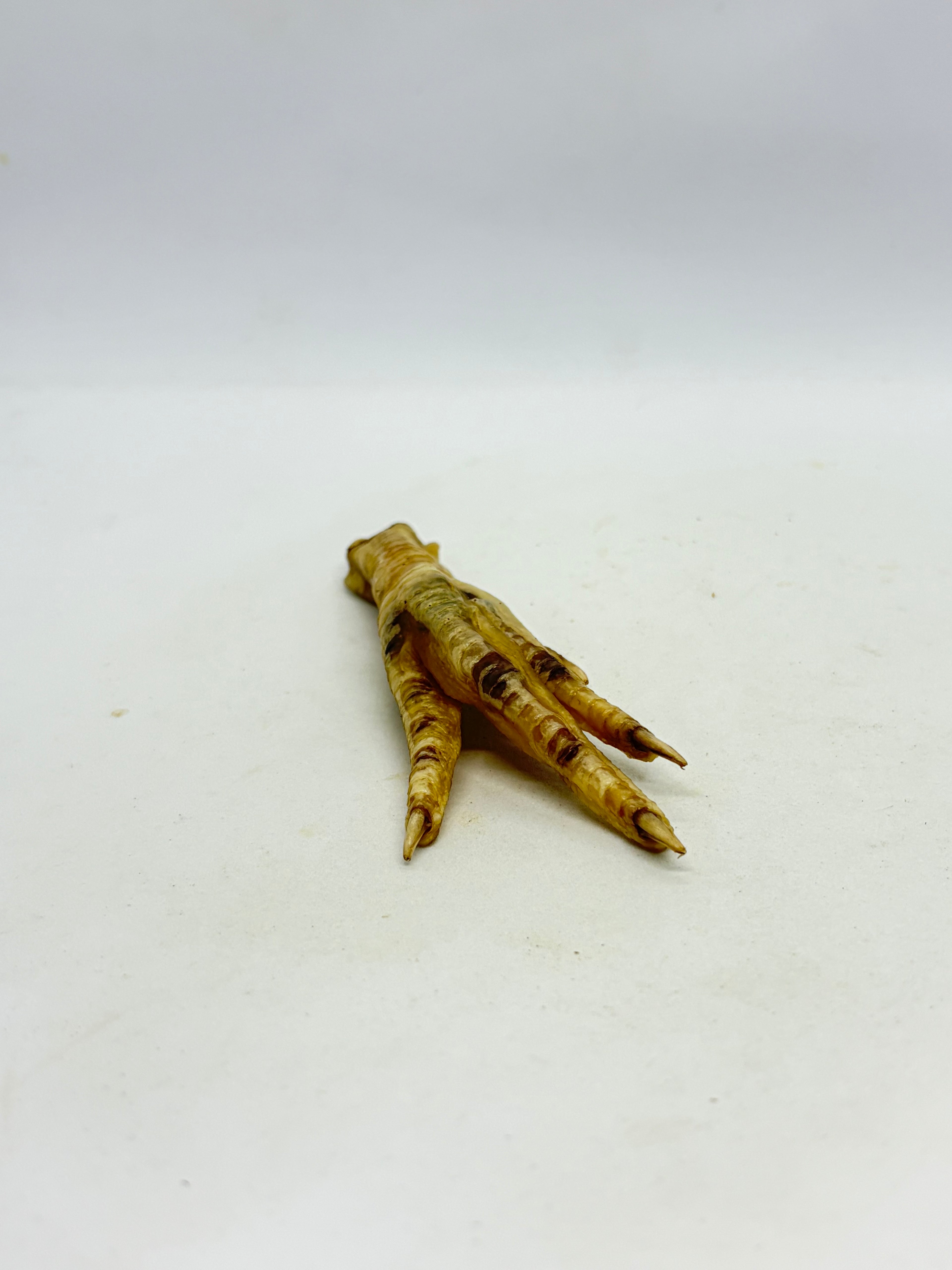 Chicken/Duck Feet