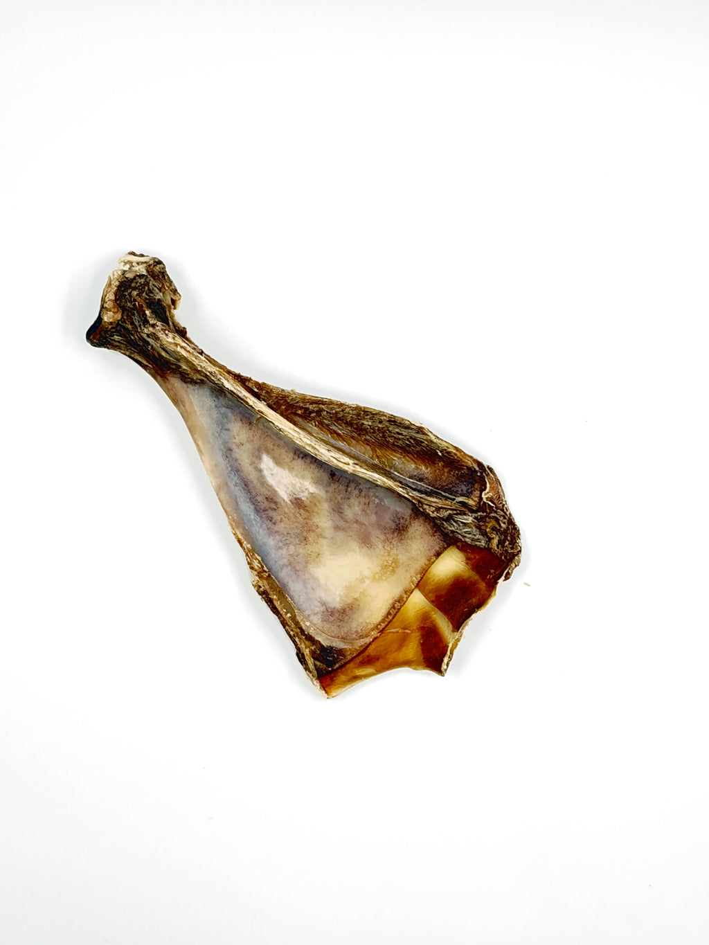 Venison Shoulder Blades