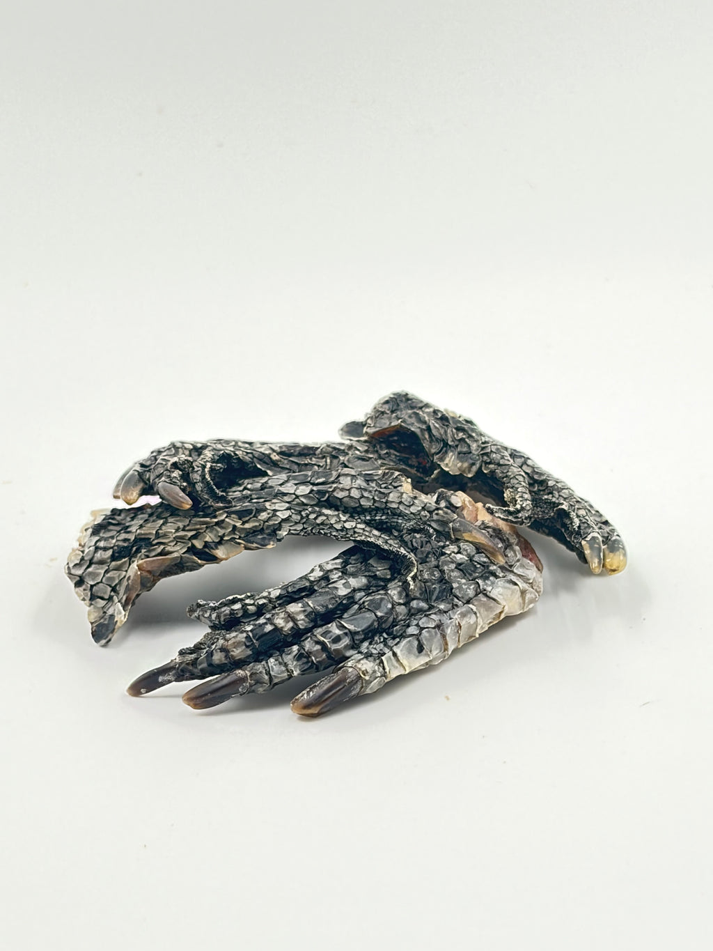 Croc-Feet