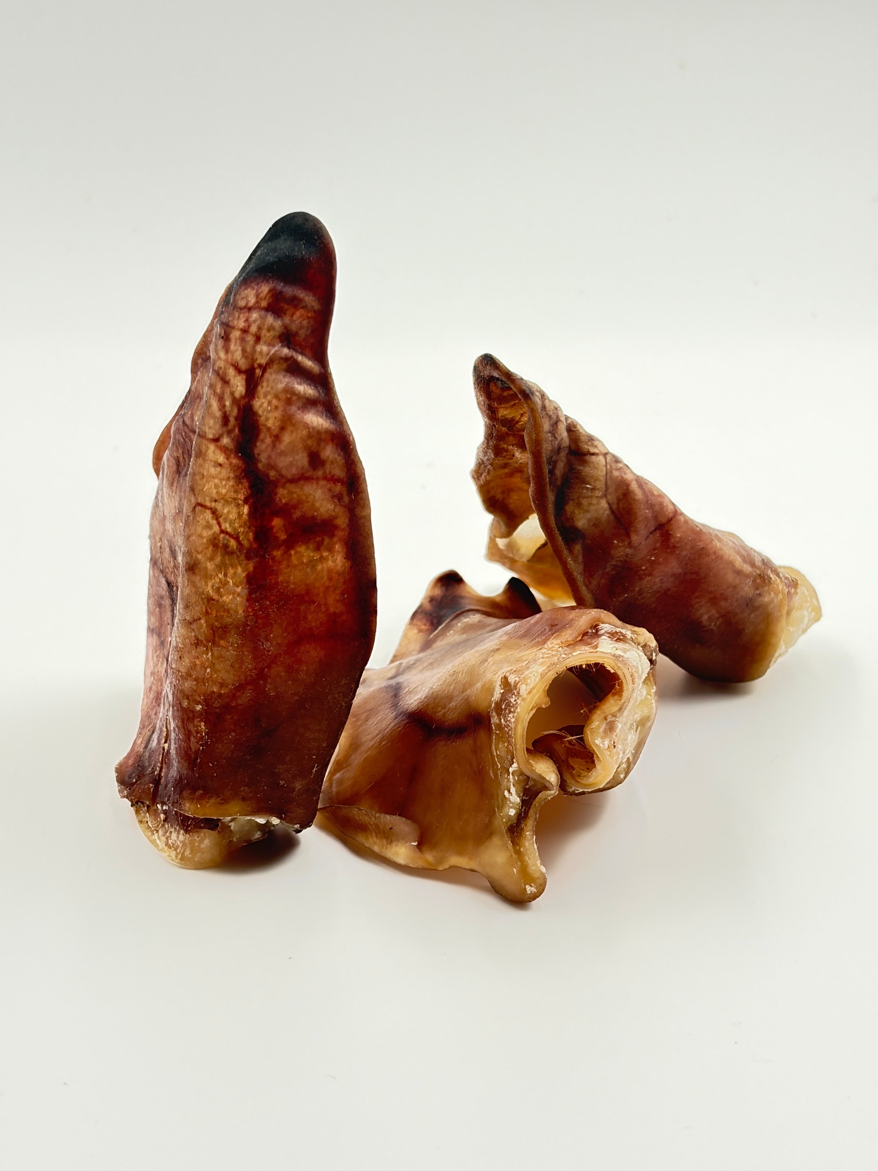 Australian Pigs Ear