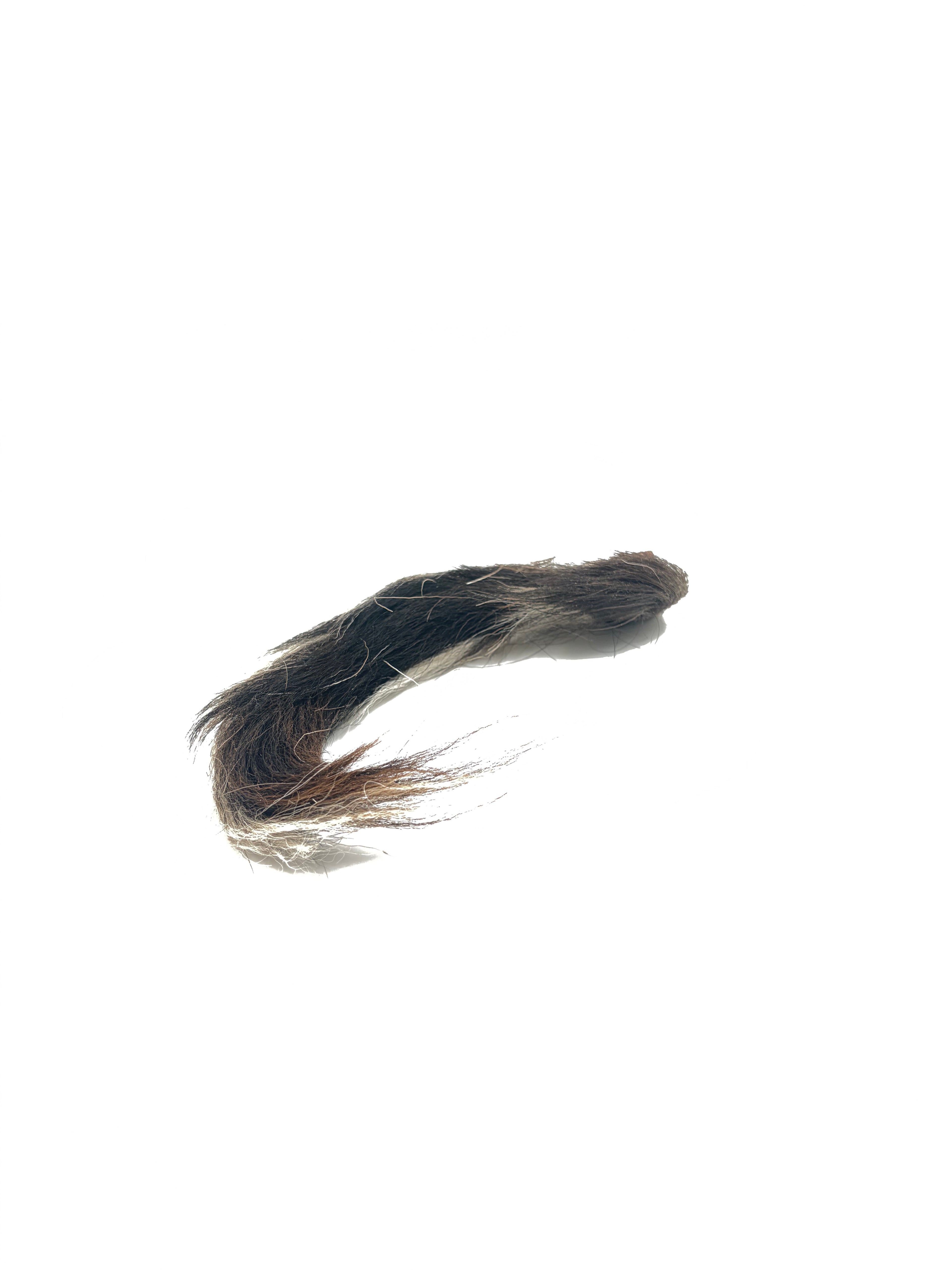 Furry Deer Tails