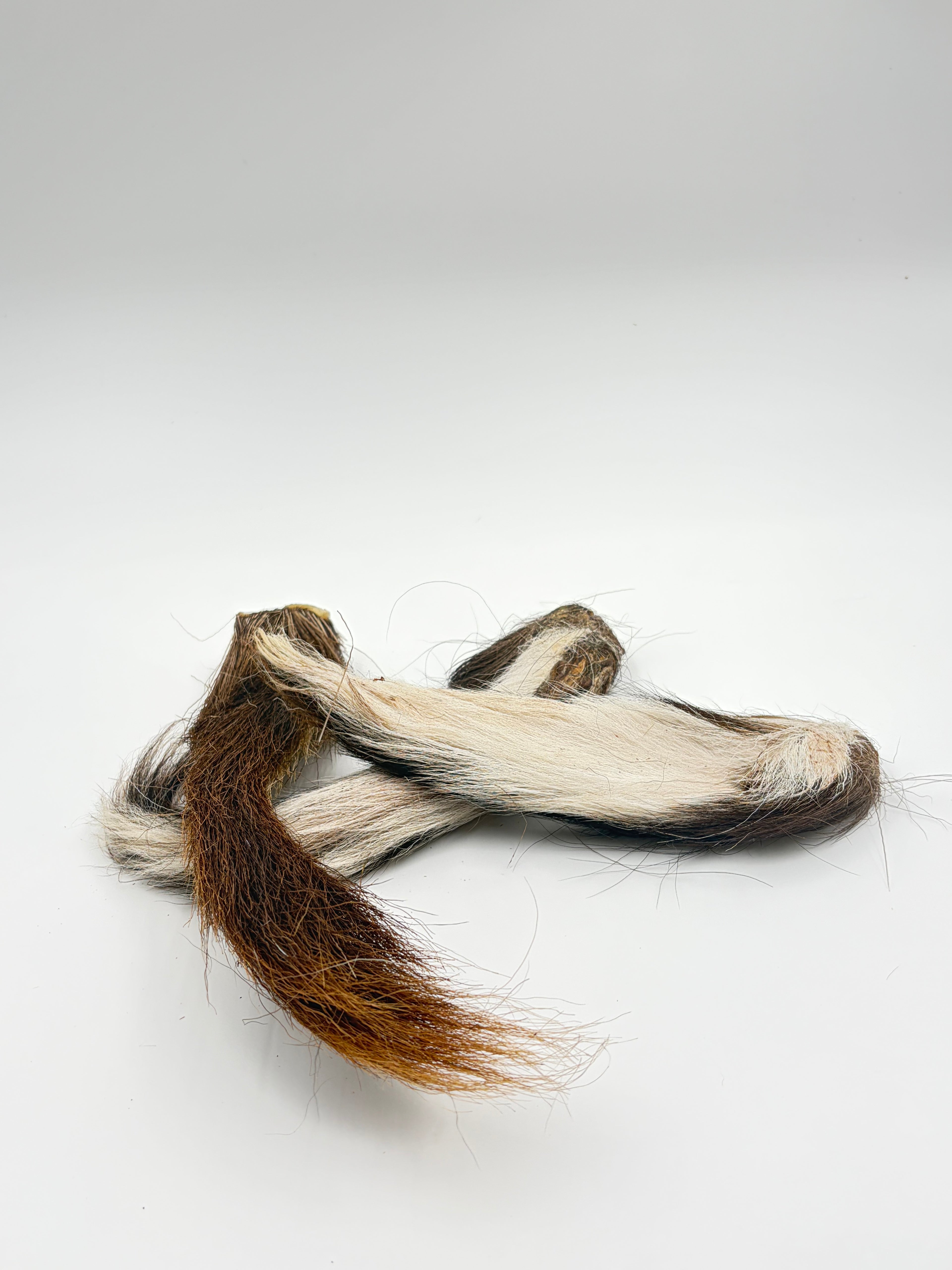 Furry Deer Tails