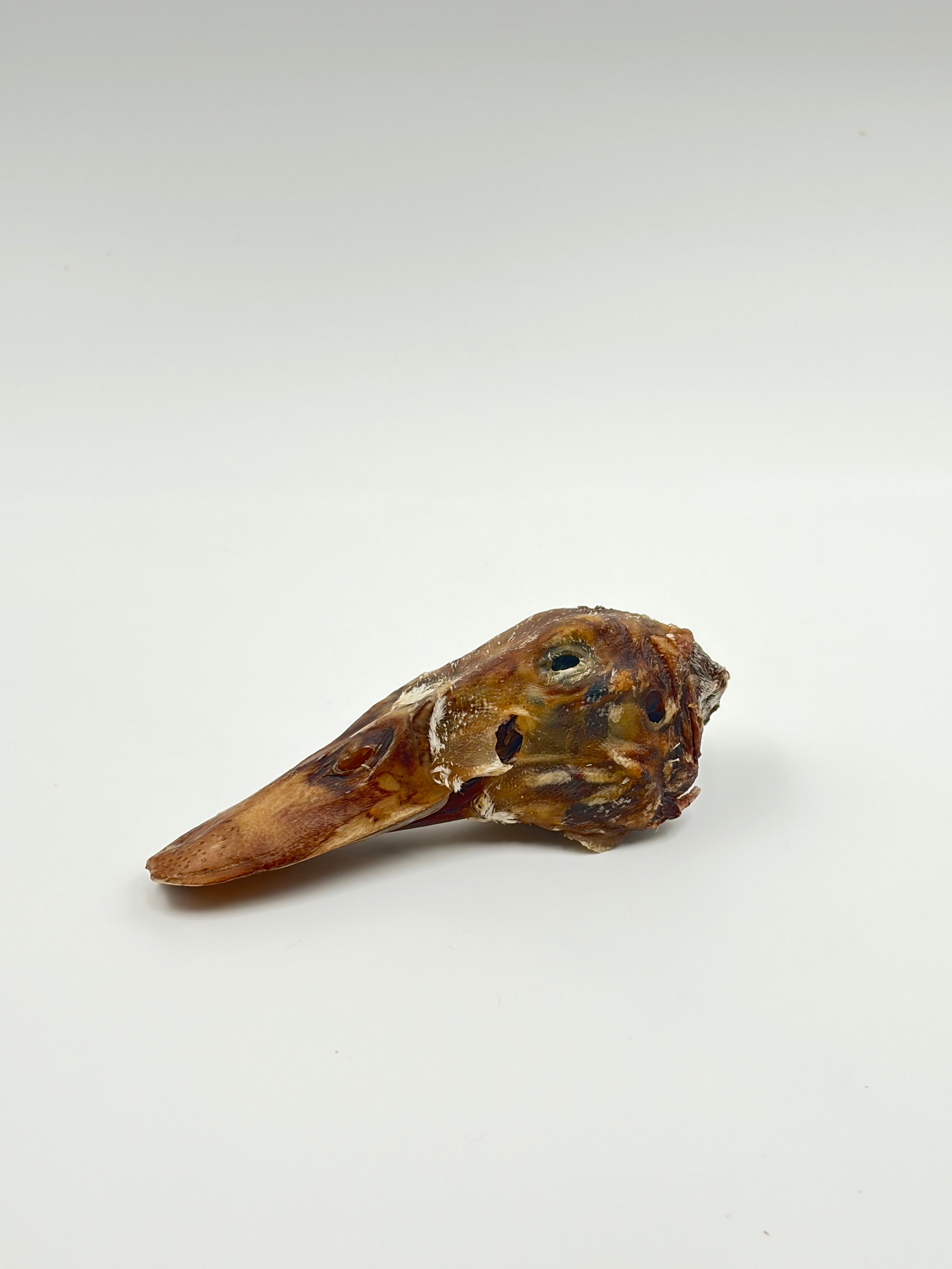 Duck Heads