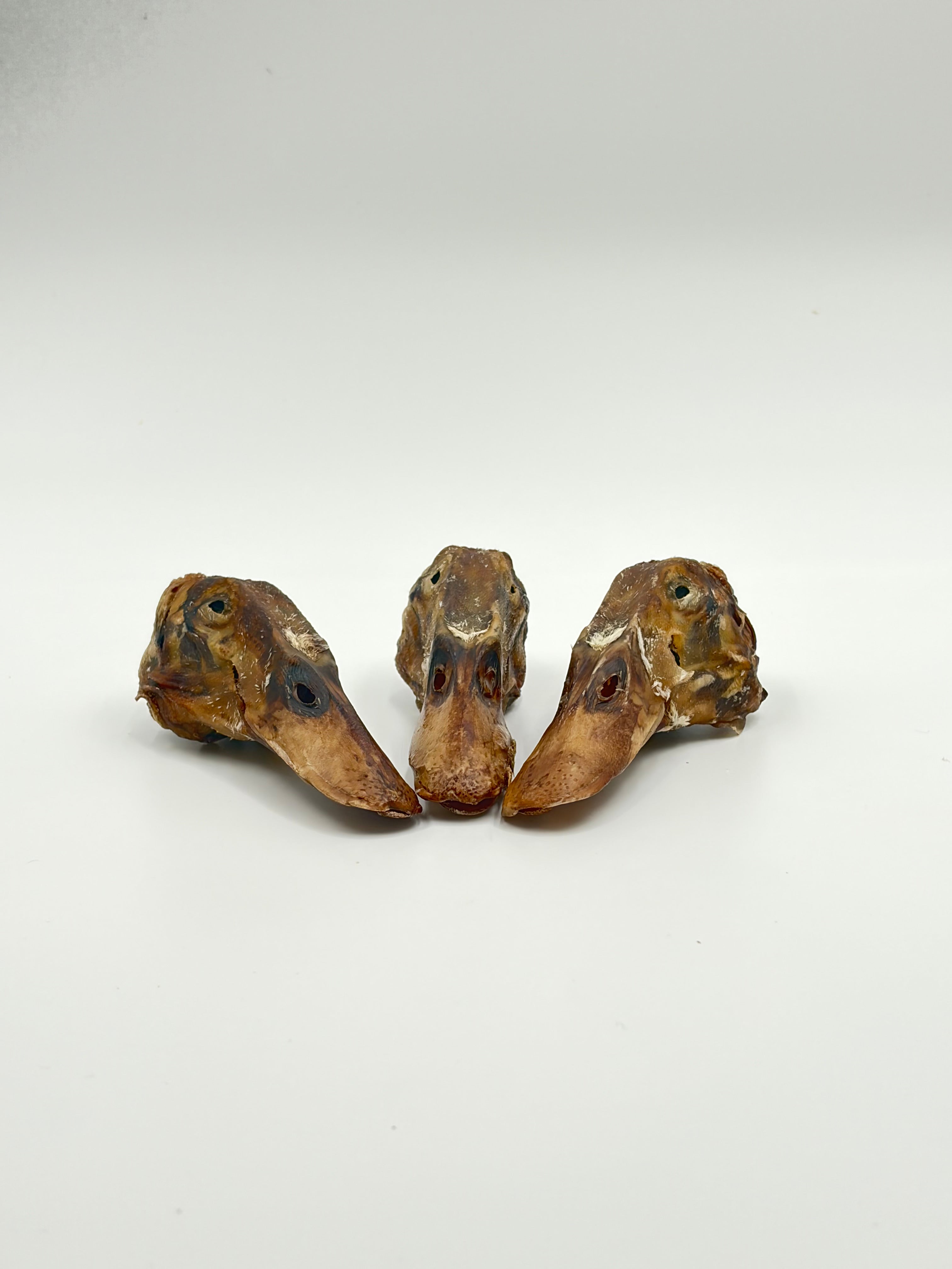 Duck Heads