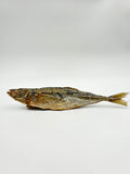Yellow Tail