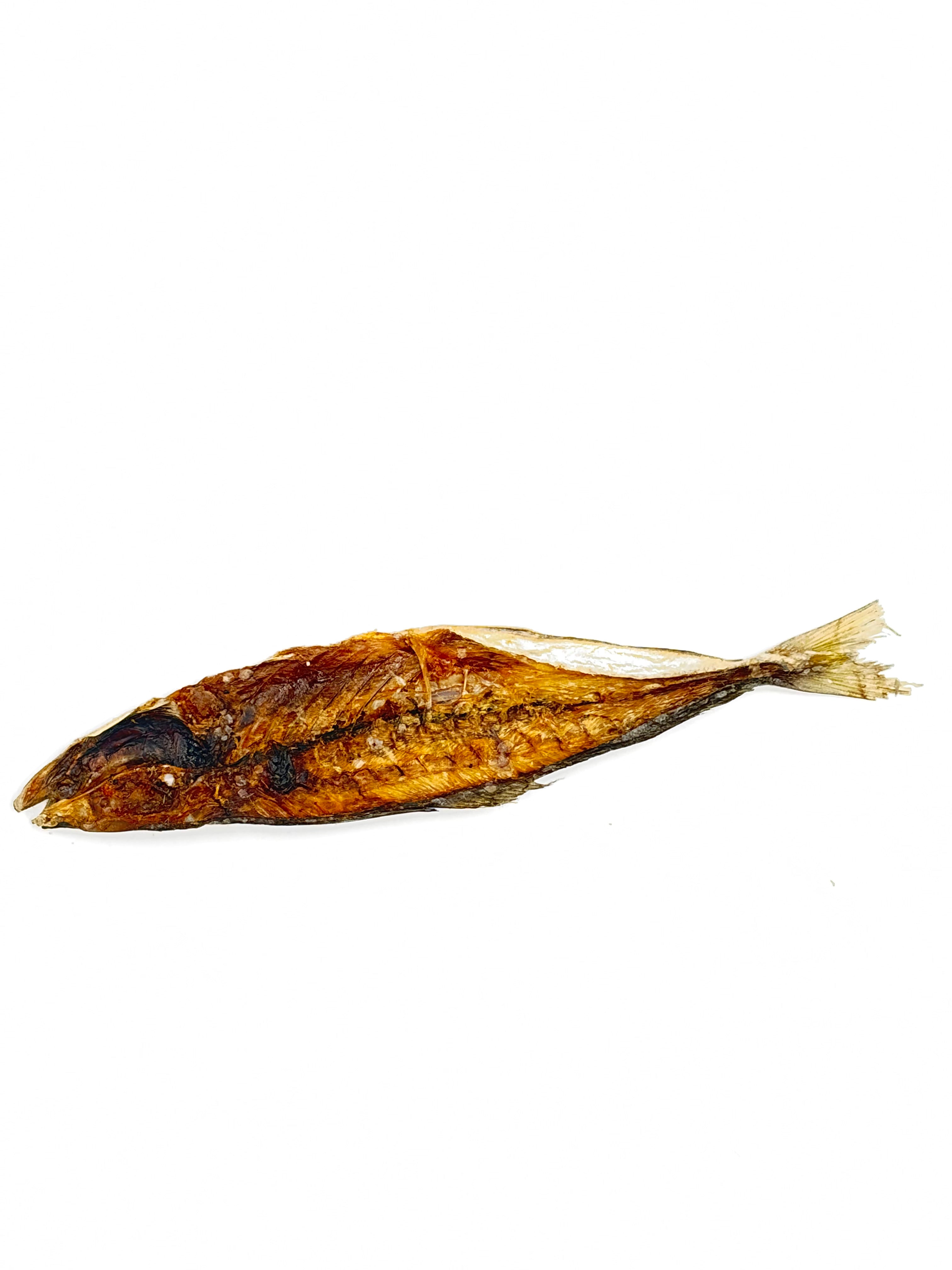 Yellow Tail