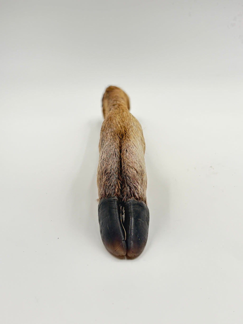 Furry Deer Trotters