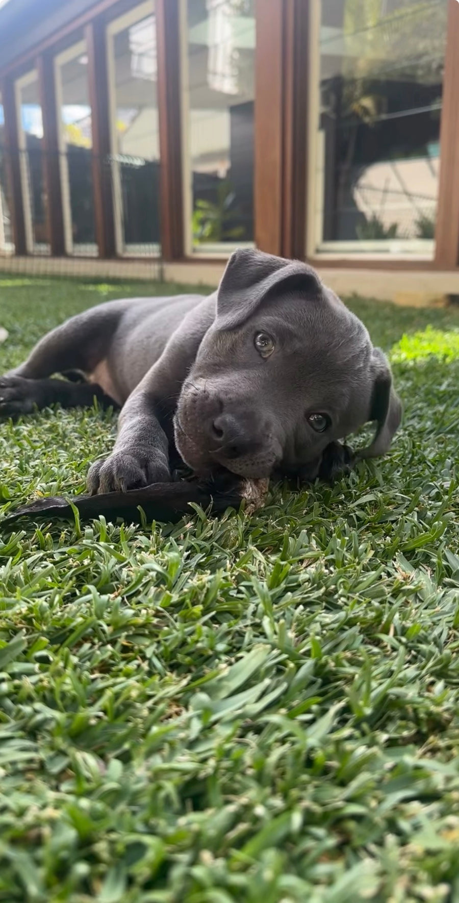 Mabel — our first Photo of the Fortnight champion!